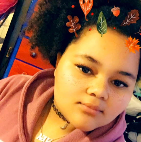 Meet your Posher, Dixie - Picture 1 of 1